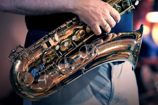 Harri Stojka wurde am 22. Juli 1957 in Wien geboren und zählt seit Jahrzehnten zu den bekanntesten Jazzgitarristen Österreichs | Foto: fietzfotos/pixabay
