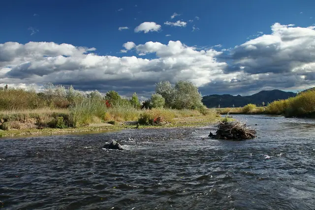 Die Lavant ist Kärntens Kandidatin für die erstmals vergebene Auszeichnung „Fluss des Jahres“. Bis 1. September kann online für den Fluss abgestimmt werden. | Foto: Chri Komposch-ÖKOTEAM