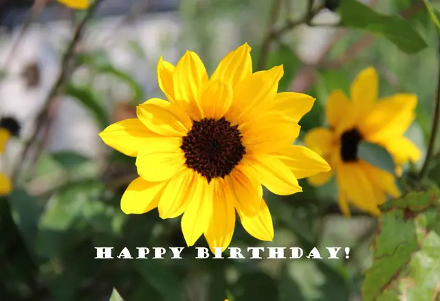 Happy Birthday!