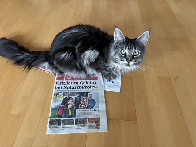 Kostenlose Regionalmedien erreichen Haushalte auch in abgelegenen Gemeinden. | Foto: Alexandra Goll