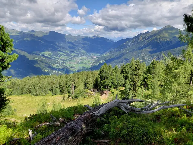 Ausicht auf Bad Hofgastein  | Foto: H.Bachinger