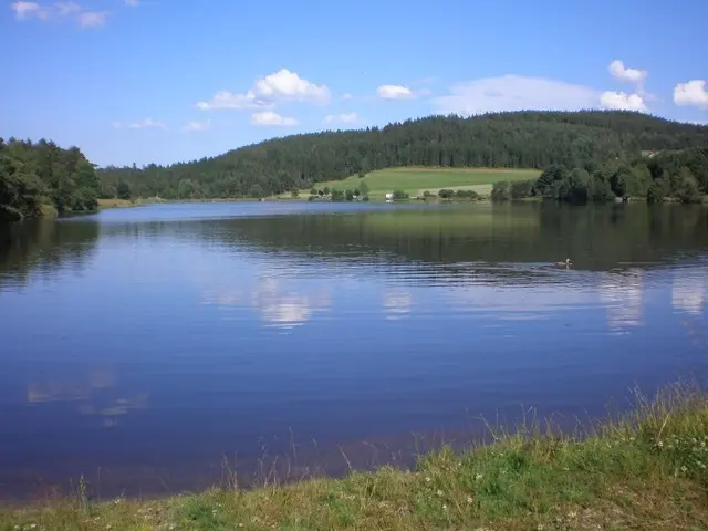 Der Frauenwieserteich in Langschlag ist ein einzigartiges Naturjuwel. | Foto: Marktgemeinde