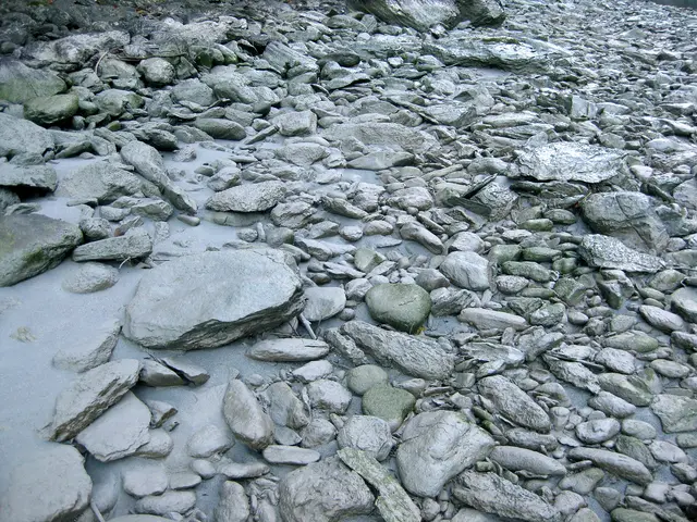 Folge einer Stauraumspülung, totes Bachbett, Inn im Tiroler Oberland 