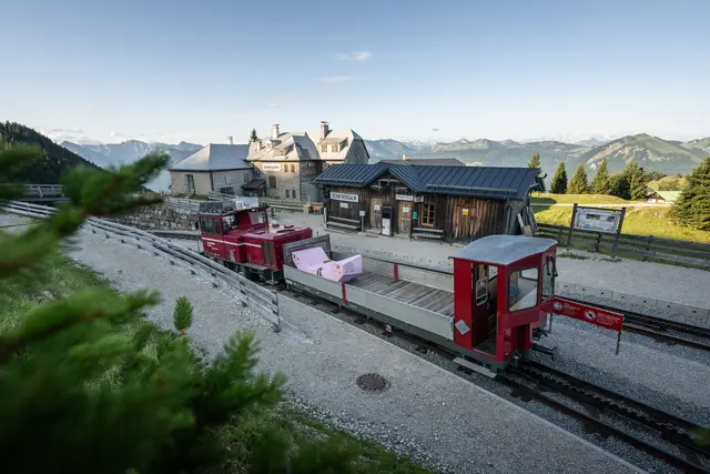 Mit Hilfe der Schafbergbahn erreicht das Enzi den höchsten Punkt seiner Österreich-Tour. | Foto: Salzburg AG Tourismus GmbH, Georg Kukuvec