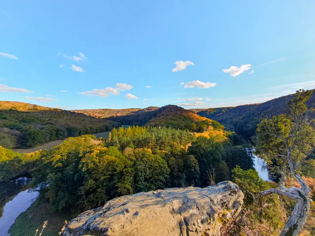 Die Thaya prägt die einzigartige Landschaft des Nationalparks Thayatal. | Foto: Bayer