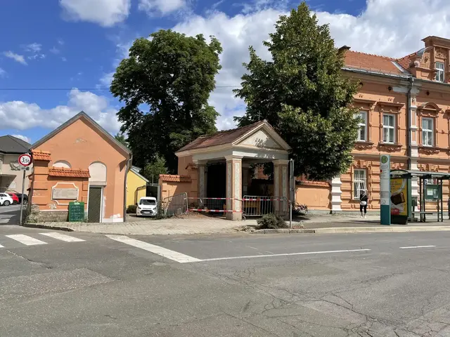 Auf der Kreuzung Kapellenweg/Herrengasse fiel ein Baum um. Ein Stumpf blieb zurück. | Foto: MeinBezirk/Julia Gerold