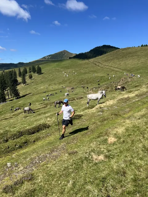 Ein Bild sagt mehr als 1.000 Worte: Herzliches Almpanorama beim Kainacher Bergmarathon | Foto: TUS Kainach