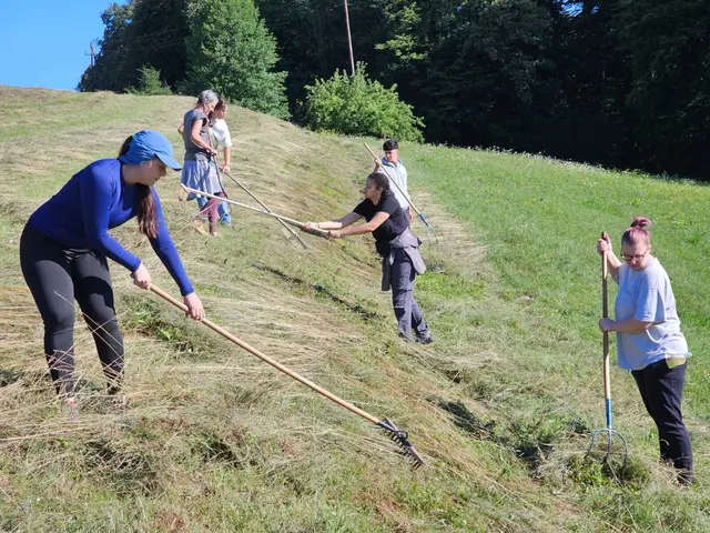 Beim Arbeitseinsatz in Hofstätten bei Bad Gleichenberg. | Foto: Bernard Wieser