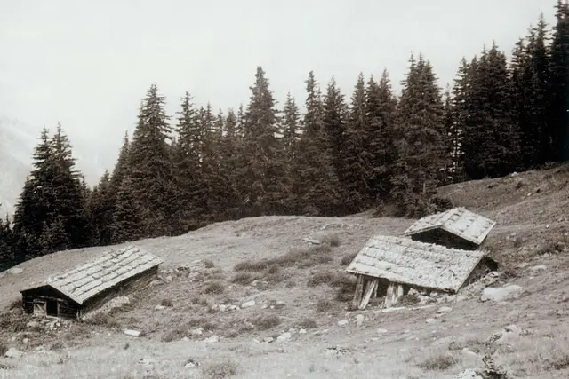Im Hochsommer des Jahres 1886 wurde die Schmalzgruben-Alm zum Schauplatz eines tragisch endenden Blitzereignisses, bei dem ein erst 16-jähriger Viehhirte aus Gries im Sellrain ums Leben kam. 

Im Bild zu sehen: Der Blick auf die Schmalzgrube im vorderen Fotschertal in den 1950er-Jahren. | Foto: Bildarchiv Georg Jäger