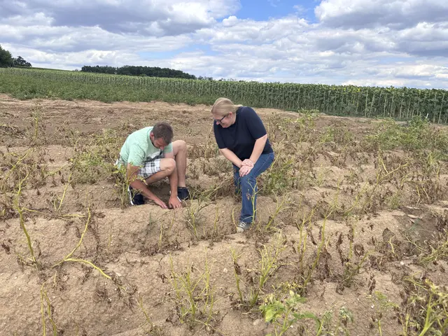 Foto: Alexandra Goll