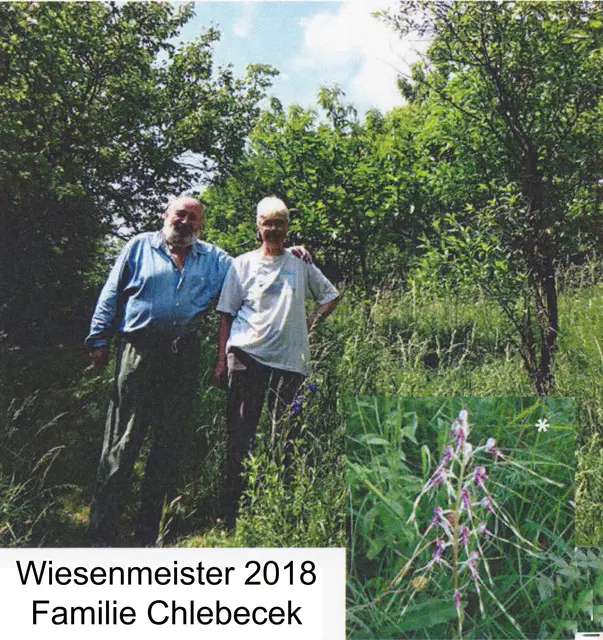 In Kierling erwartet dich ein Botaniknachmittag der besonderen Art mit Fritz und Christl Chlebecek. | Foto: Wiesenmeister