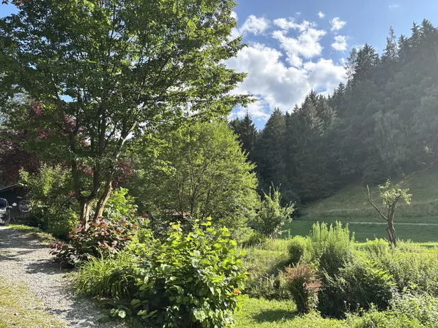 Die "Artfarm" in Niklasdorf ist ein Ort der Entschleunigung. | Foto: MeinBezirk/Astrid Moder
