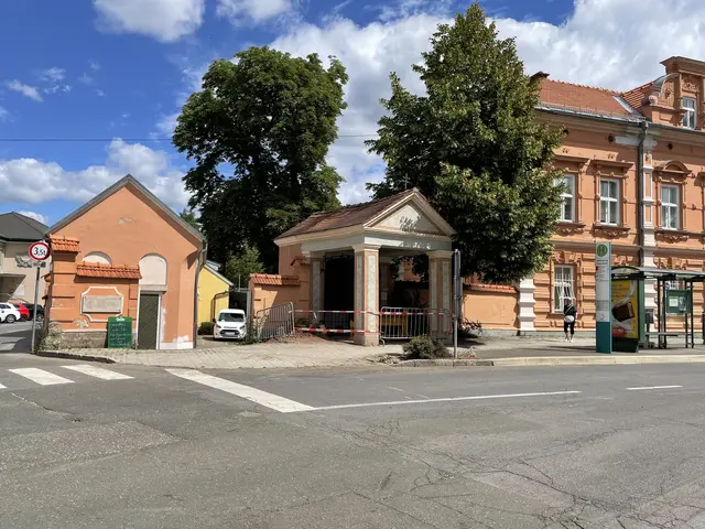 Auf der Kreuzung Kapellenweg/Herrengasse fiel ein Baum um.