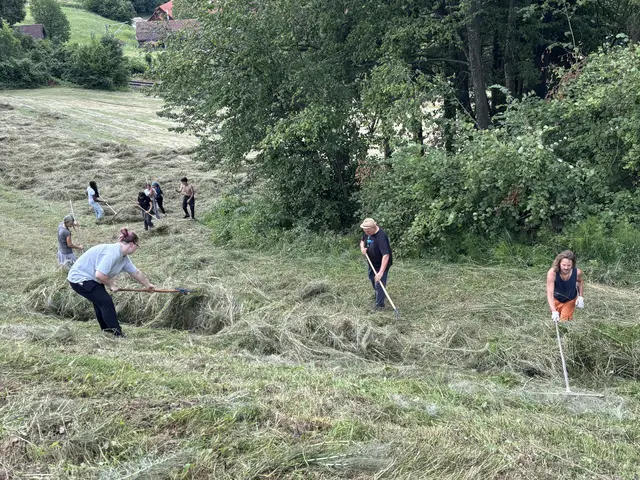 Ausgerechnet zum Heurechen kommen Jugendliche aus aller Welt in die Südoststeiermark und lernen dabei, was gelebter Naturschutz bedeutet. | Foto: MeinBezirk/Gerda Sammer-Schmidt