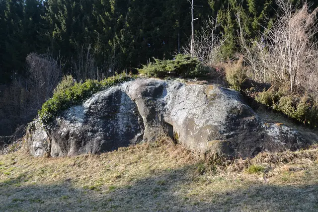 Der Felsblock in Oberpichling erinnert bis heute an die gewaltige Gesteinsmure vom 7. September 1916 und zählt zu den außergewöhnlichsten Naturdenkmalen der Region. | Foto: Privat