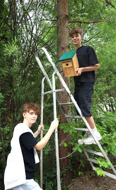 Teamwork bei der Montage der Nistkästen. | Foto: GWT