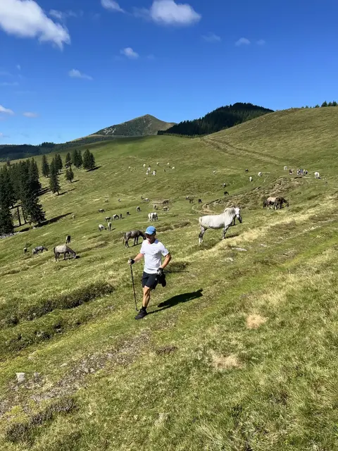 Ein Bild sagt mehr als 1.000 Worte: Herzliches Almpanorama beim Kainacher Bergmarathon | Foto: TUS Kainach