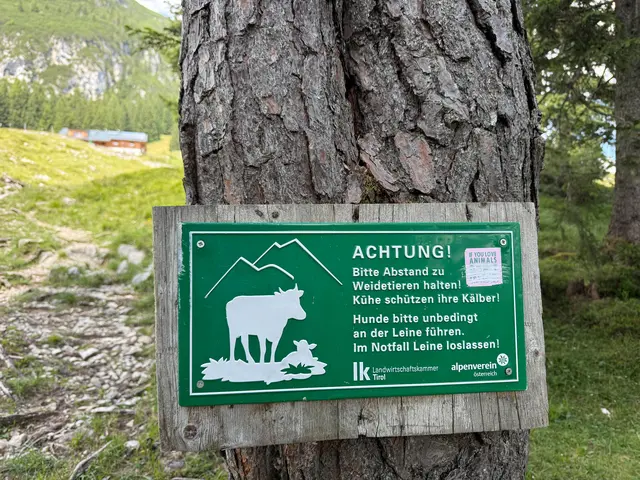 Warnschilder wurden in diesem Fall offenbar ignoriert.  | Foto: ZOOM-Tirol