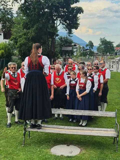 Die Musikkapelle Ampass hofft, mit ihrem millionenfach geklickten Video schon bald eine neue musikalische Leitung zu finden. | Foto: MK Ampass