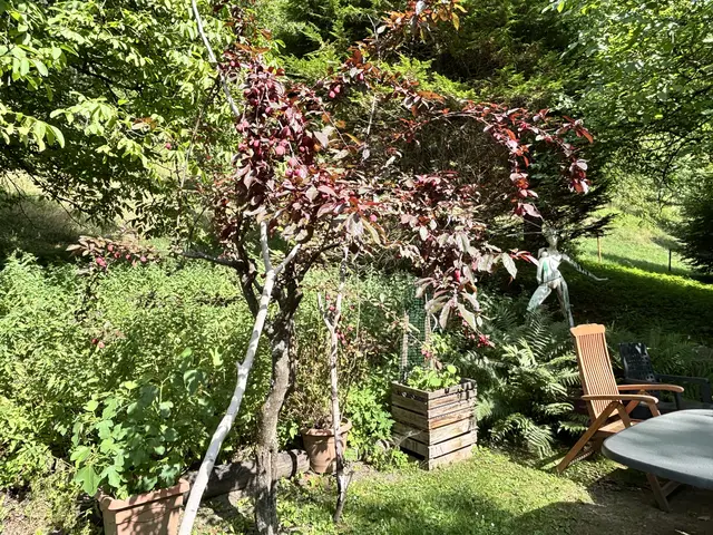 Foto: MeinBezirk/Astrid Moder