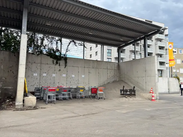Die Einkaufswagen warten in Favoriten geduldig. Die nächste Station: der Abschleppplatz in Simmering. | Foto: Nathanael Peterlini/MeinBezirk