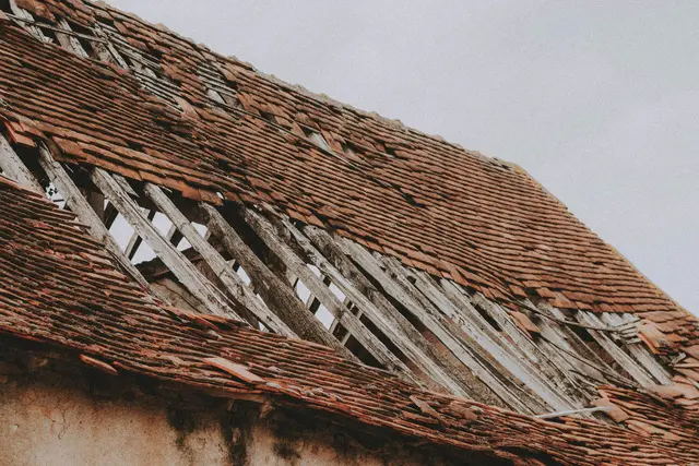 Starke Stürme verursachen oft enorme Schäden. Bäume entwurzeln und landen auf Dächern, Dachziegel machen sich selbstständig und fallen herunter, Blechteile und Abdeckungen lösen sich. | Foto: unsplash / Mathias Reding