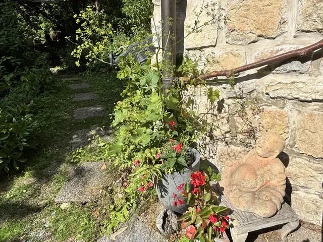 Foto: MeinBezirk/Astrid Moder