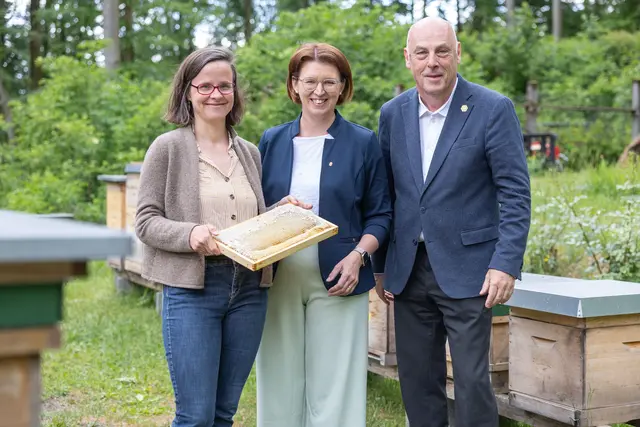 Ob im Glas oder frisch von der Wabe – aus der Region schmeckt der Honig am besten. v.l. Theresa Frühwirth, LRin Langer-Weninger, Herbert Vitzthum. | Foto: Land OÖ/Charlotte Guggenberger