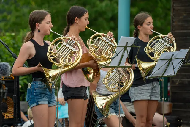 Die Sommerkonzerte der Musikschulen boten ein vielfältiges Programm von Solobeiträgen bis Orchester. | Foto: Christoph Mühlböck/LMS Peuerbach
