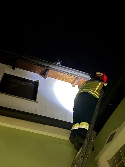 Foto: FF- Hofstetten Grünau