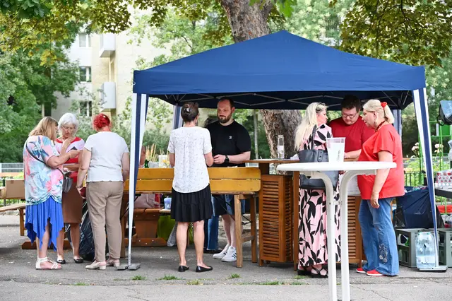 Foto: Friederike M. Schuster
