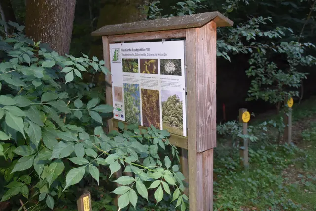 Foto: Zinterhof