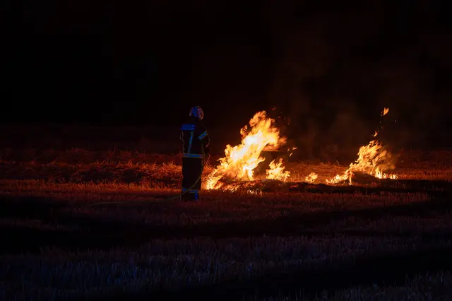 Das abgeerntete Feld stand in Flammen. | Foto: Team Fotokerschi/Werner Kerschbaummayr