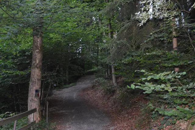 Foto: Zinterhof