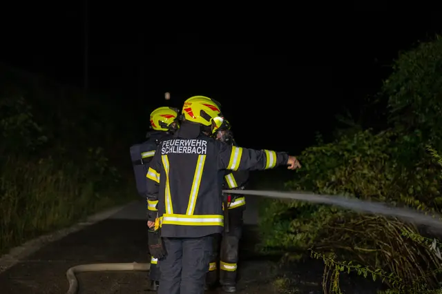 Foto: Team Fotokerschi/Werner Kerschbaummayr