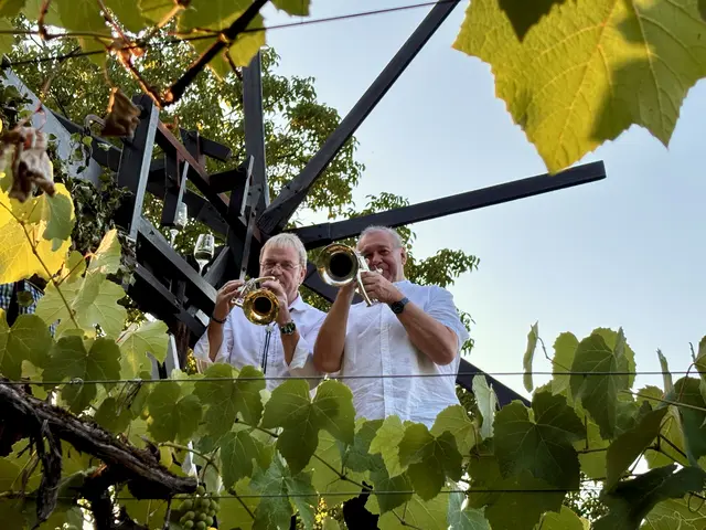 Weisenbläser Josef Ruckenstuhl und Josef Mellacher | Foto: MeinBezirk/Gerda Sammer-Schmidt