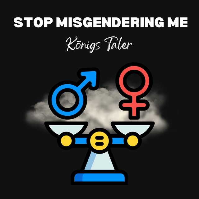 Der Song "Stop Misgendering me (she, she, she)" hat das Potenzial zum viralem Hit aber auch zum Skandal Song. Eine wohl kalkulierte Polarisierung des Hardstyle Künstlers "Königs Taler"  | Foto: Königs Taler Verlag