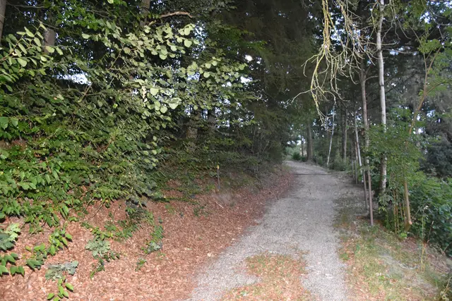Foto: Zinterhof