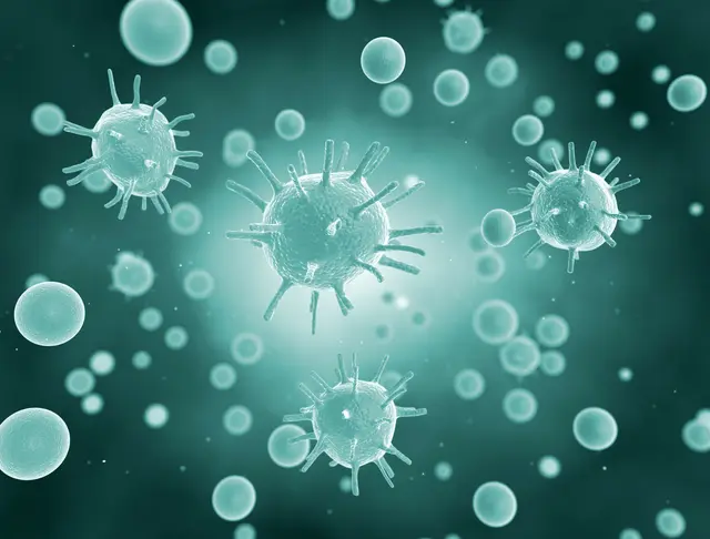Bei Noroviren handelt es sich um eine Virusinfektion, die weltweit vorkommt. | Foto: Jezper/Fotolia