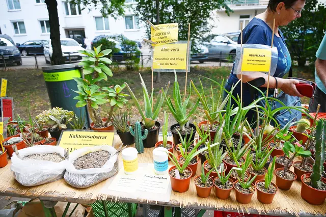 Foto: Friederike M. Schuster