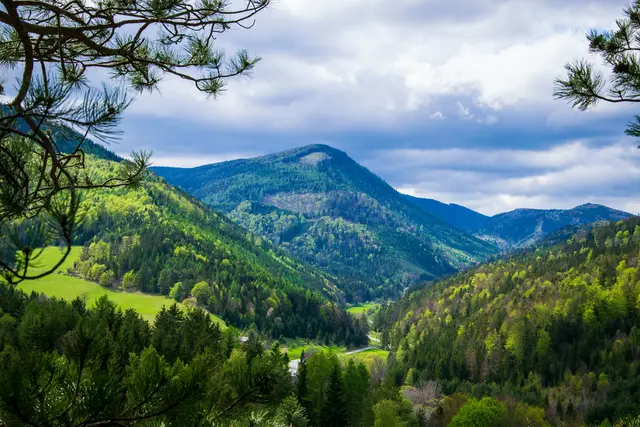 Foto: unsplash / Tuncay Uyar