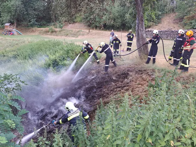 Bei Peigarten brannte eine Böschung | Foto: FF Thaya