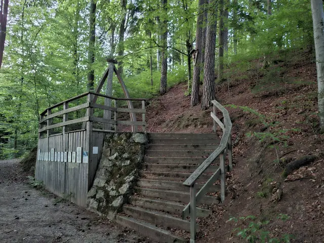 Foto: Zinterhof