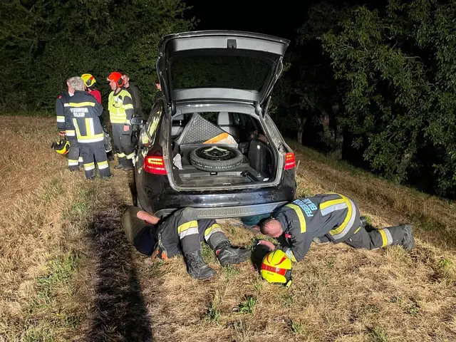 Nach der Bergung konnte der Lenker weiterfahren. | Foto: DOKU-NÖ