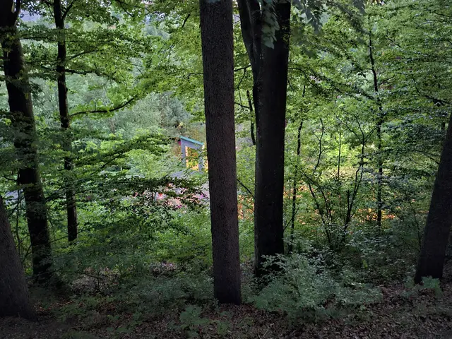 Foto: Zinterhof
