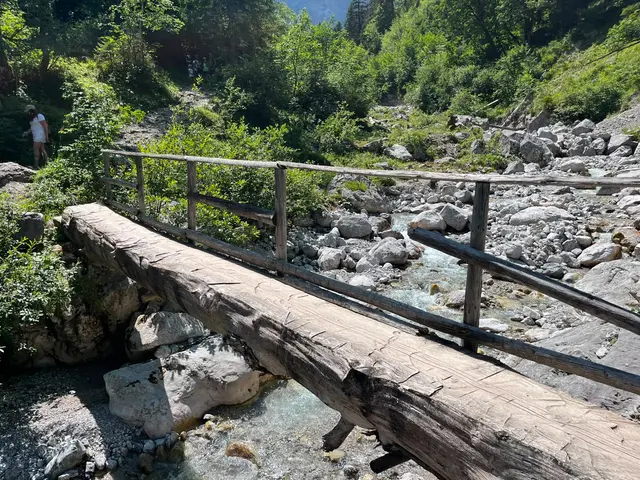 Zoom.tirol