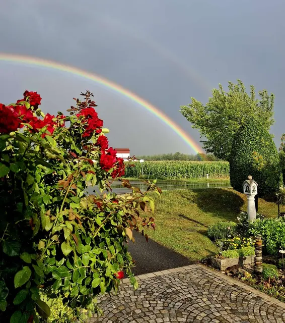 "Der Regenbogen ist ein Lächeln des Himmels." | Foto: Theresia Schön
