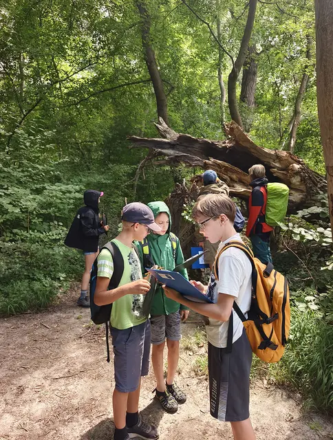 Expedition im Auwald.  | Foto: Grillmann