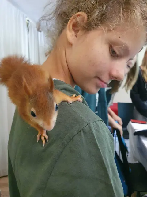 Foto: Österreichischer Tierschutzverein