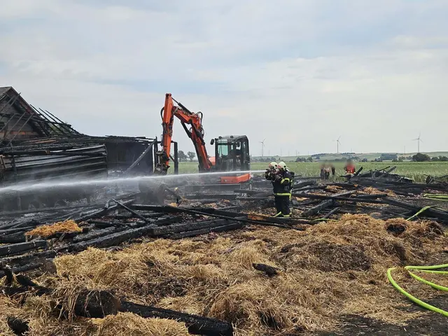 Aus einem Heckenbrand wurde binnen Minuten ein Großeinsatz mit 145 Feuerwehrkräften.
 | Foto: FF Hain-Zagging, Herzogenburg-Stadt, St.Pölten-Stadt